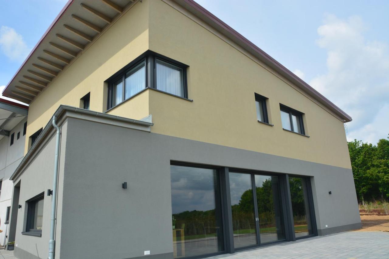 Weingut Bugner Meizelhof Klein-Winternheim Zewnętrze zdjęcie