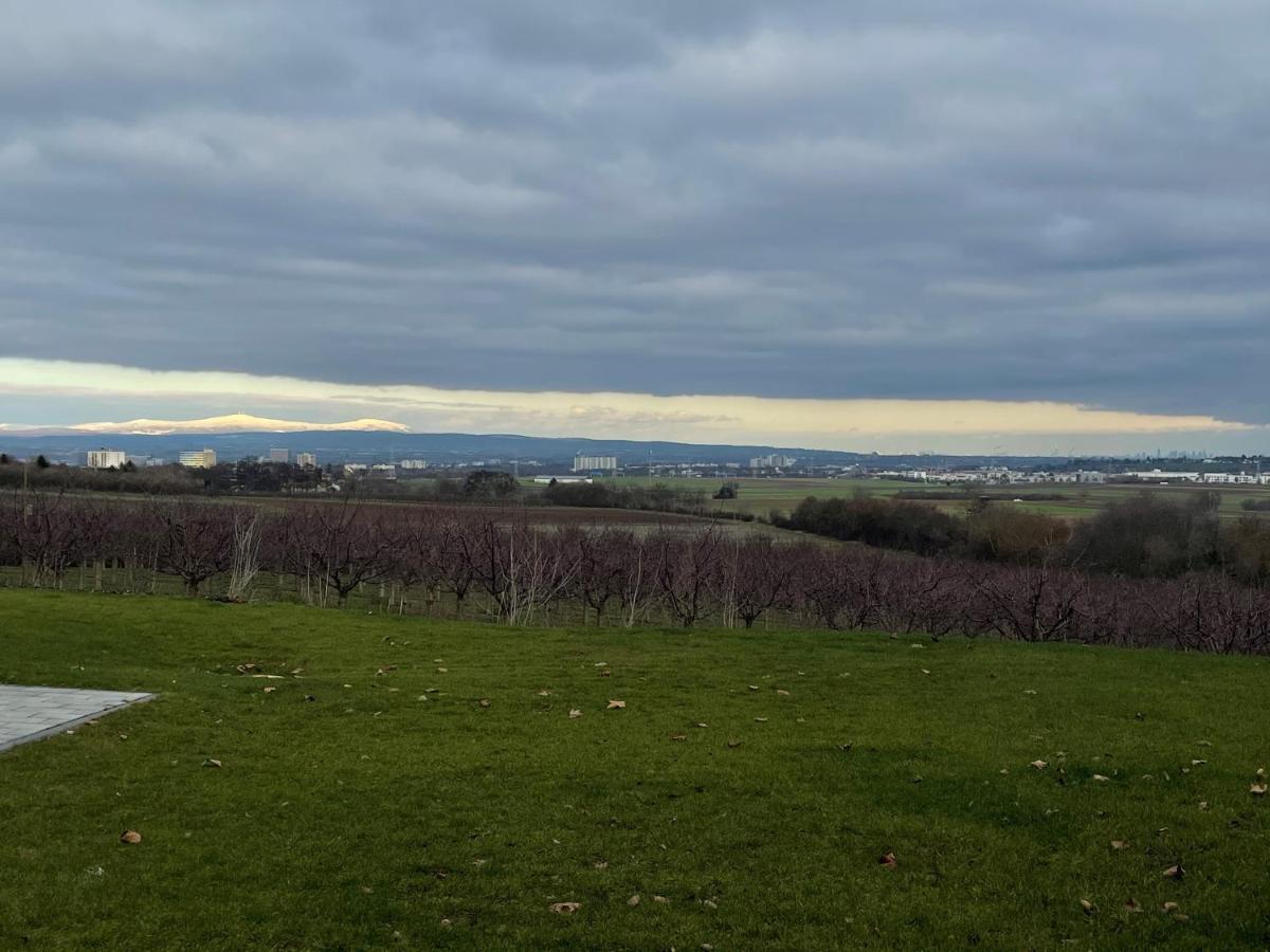 Weingut Bugner Meizelhof Klein-Winternheim Zewnętrze zdjęcie