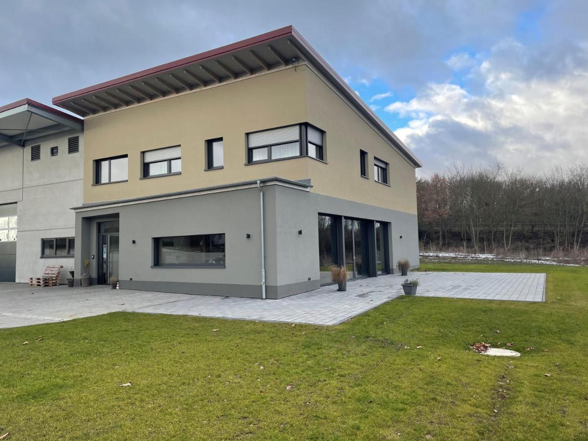 Weingut Bugner Meizelhof Klein-Winternheim Zewnętrze zdjęcie